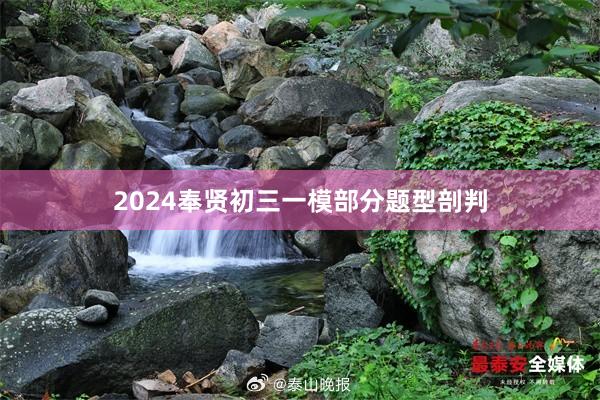 2024奉贤初三一模部分题型剖判