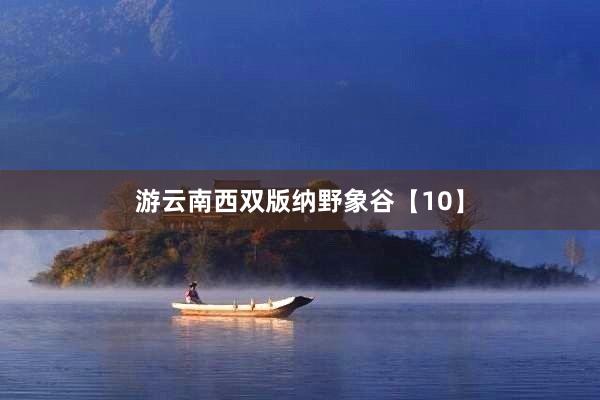 游云南西双版纳野象谷【10】