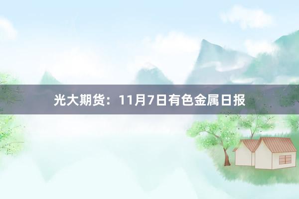 光大期货：11月7日有色金属日报